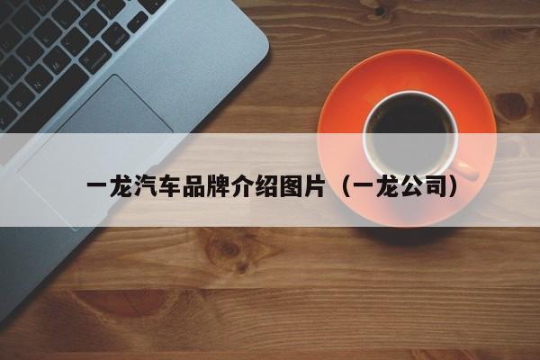 一龙汽车品牌介绍图片（一龙公司）