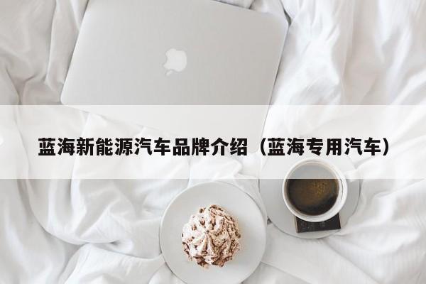 蓝海新能源汽车品牌介绍（蓝海专用汽车）