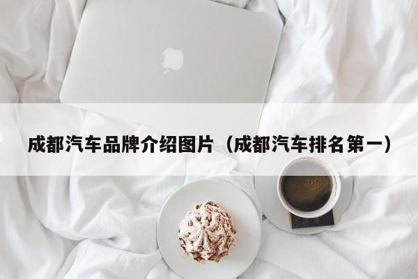 成都汽车品牌介绍图片（成都汽车排名第一）