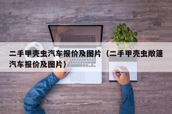 二手甲壳虫汽车报价及图片（二手甲壳虫敞篷汽车报价及图片）
