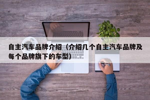 自主汽车品牌介绍（介绍几个自主汽车品牌及每个品牌旗下的车型）