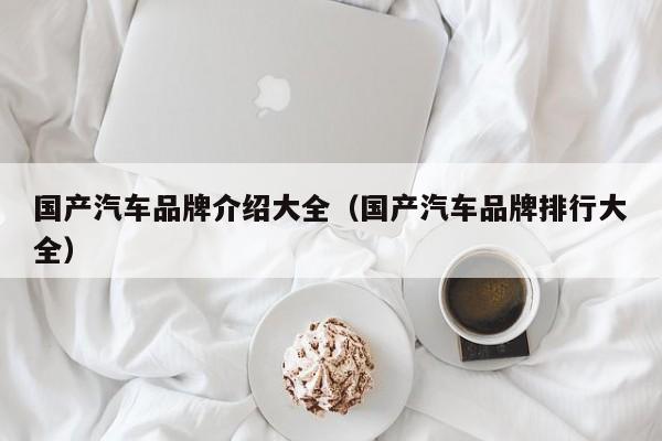 国产汽车品牌介绍大全（国产汽车品牌排行大全）