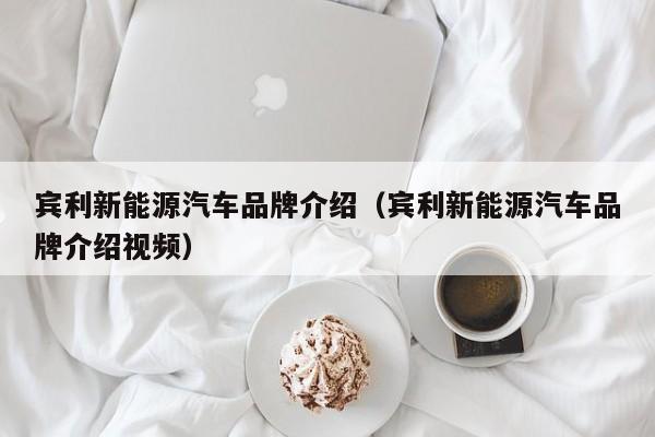 宾利新能源汽车品牌介绍（宾利新能源汽车品牌介绍视频）