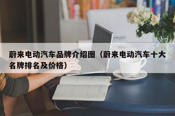 蔚来电动汽车品牌介绍图（蔚来电动汽车十大名牌排名及价格）