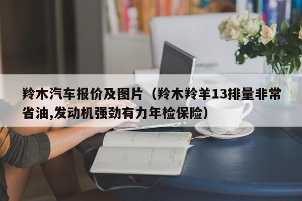 羚木汽车报价及图片（羚木羚羊13排量非常省油,发动机强劲有力年检保险）