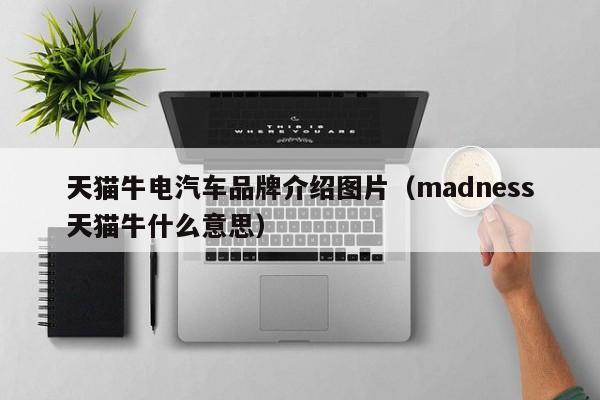 天猫牛电汽车品牌介绍图片（madness天猫牛什么意思）