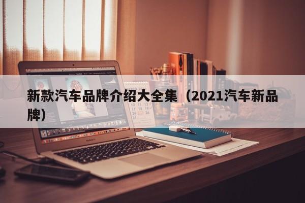 新款汽车品牌介绍大全集（2021汽车新品牌）
