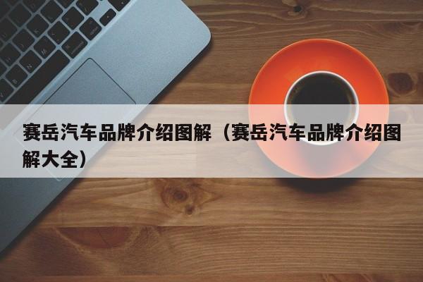 赛岳汽车品牌介绍图解（赛岳汽车品牌介绍图解大全）