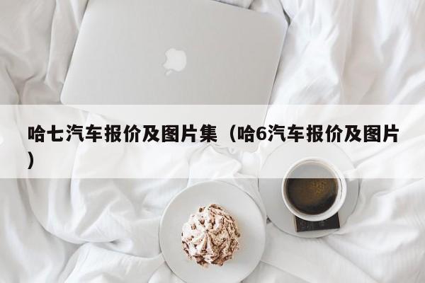 哈七汽车报价及图片集（哈6汽车报价及图片）