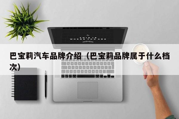 巴宝莉汽车品牌介绍（巴宝莉品牌属于什么档次）