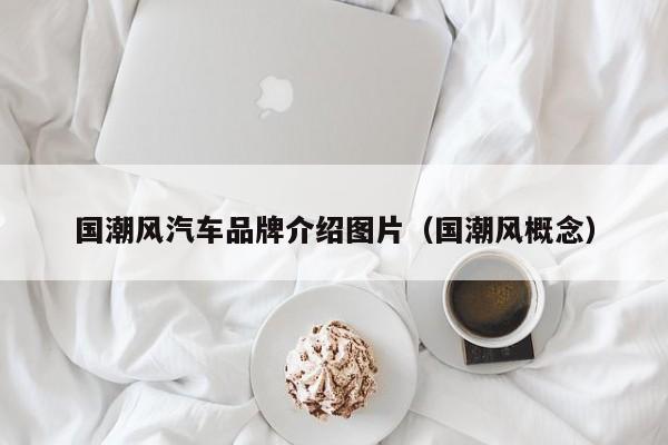 国潮风汽车品牌介绍图片（国潮风概念）