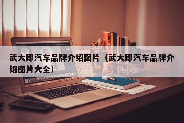 武大郎汽车品牌介绍图片（武大郎汽车品牌介绍图片大全）