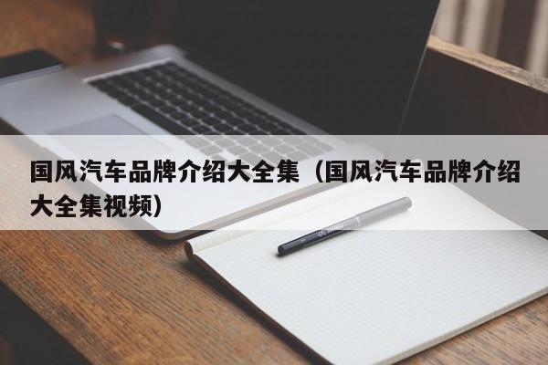国风汽车品牌介绍大全集（国风汽车品牌介绍大全集视频）