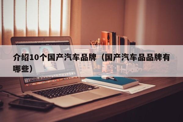 介绍10个国产汽车品牌（国产汽车品品牌有哪些）